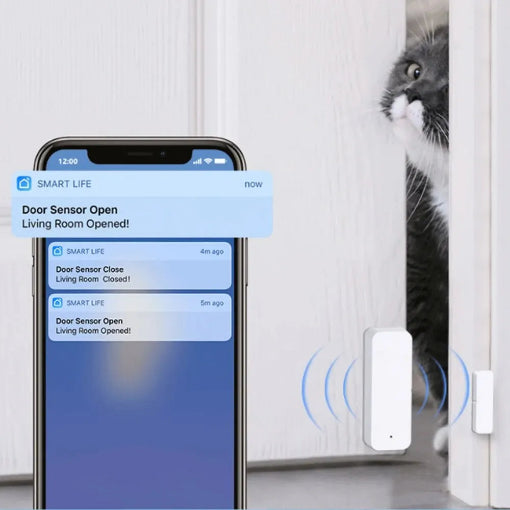 Capteur de porte ouverte fermé wifi Tuya